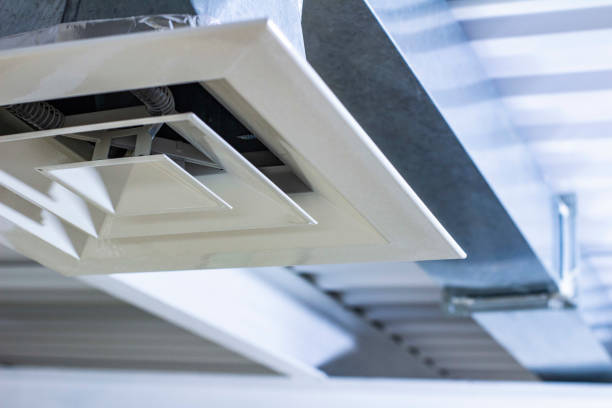 Best Air Duct Sanitizing Services  in Weiser, ID