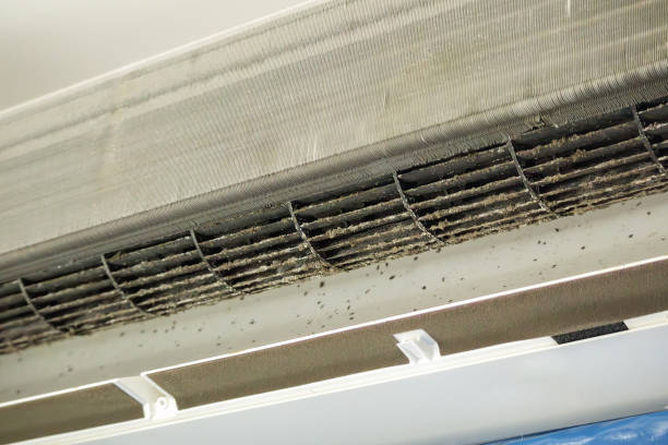 Best Air Duct Cleaning Company Near Me  in Weiser, ID